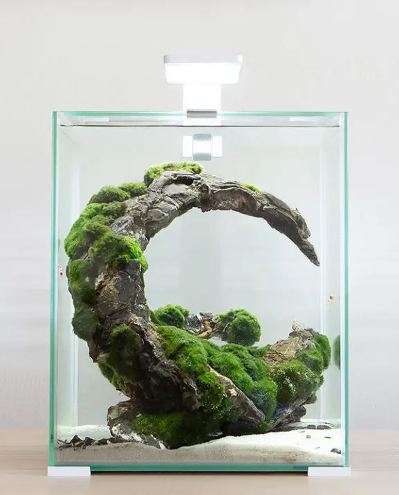 Aquael Shrimp Set Smart White-Day & Night[Volume - 10L].webp