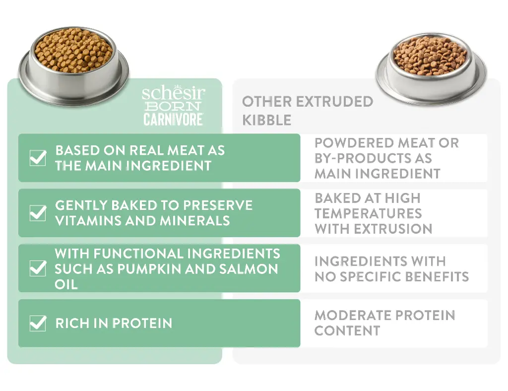 Schesir Born Carnivore Grain Free Oven Baked Dry Food [High-Protein] For Cat - Chicken&Egg  255g (1).webp