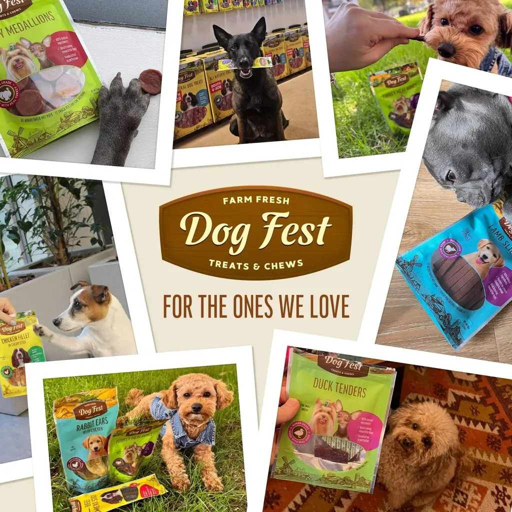 Dog Fest Chicken Medallions For Adult Dogs 90g (3).webp