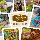 Dog Fest Chicken Medallions For Adult Dogs 90g (3).webp