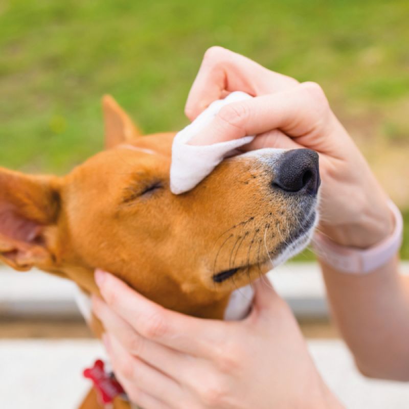Pet Wipes Ear & Eye (30 Wipes)