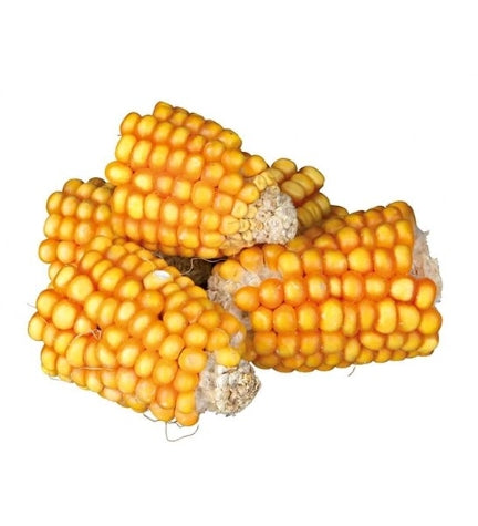 Trixie Pieces of Maize Cobs Small Pet Treats - 300G