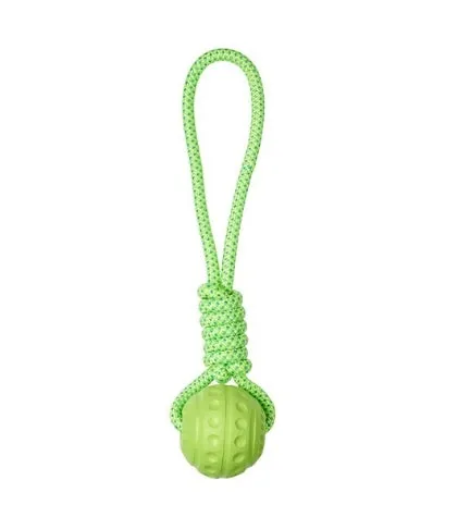 Companion Aqua Ball on Rope Dog Toy - GREEN/32CM
