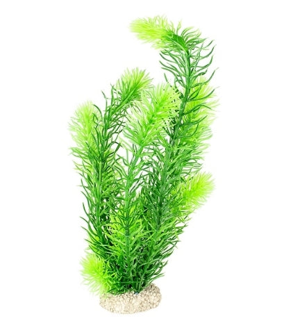 Aqua D'Ella Plant Hornwort for Aquariums DARK GREEN/LARGE