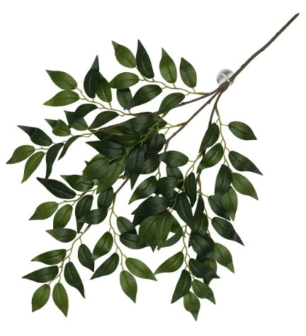 Terra D'Ella Hanging Plant Banyan - GREEN/62X32X3CM