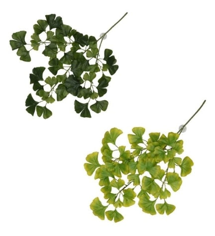 Terra D'Ella Hanging Plant Ginko - DARK GREEN/63X36X5CM