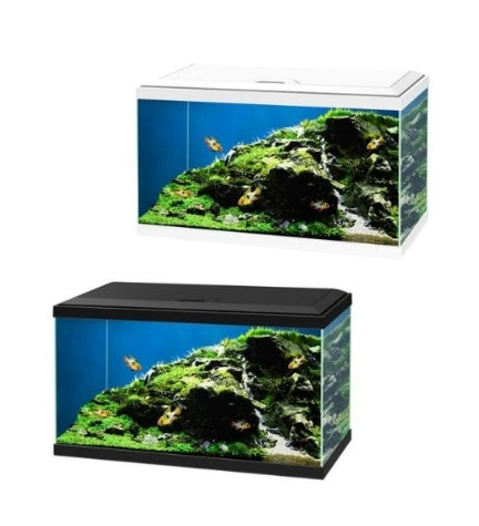 Ciano Aqua 60 Aquarium with Black LED Light 60x30x33.5cm