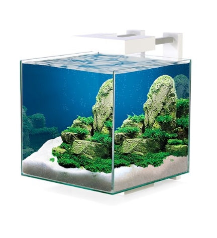 Ciano Nexus Pure 15 Cube Aquarium 25x25x31.5cm