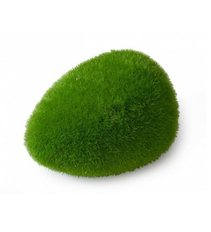 Aqua D'Ella Moss Ball for Aquariums Large