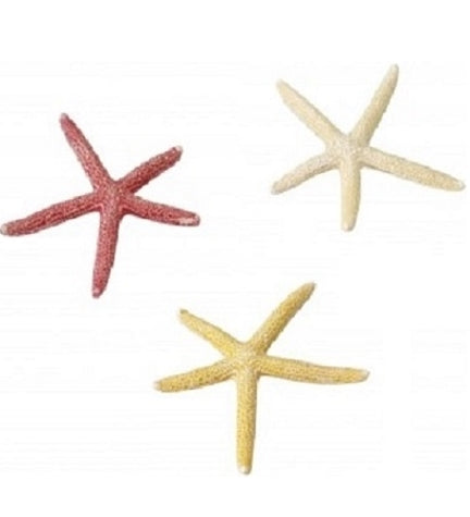 Aqua D'Ella Starfish Decoration for Aquariums - LIGHT CREAM/18.5CM