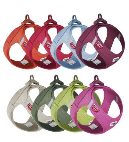 Curli Vest Harness with Curli Clasp Air Mesh for Dogs - RED/XXS