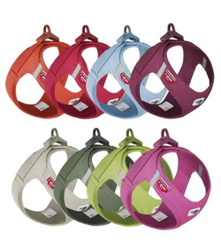 Curli Vest Harness with Curli Clasp Air Mesh for Dogs - RUBY/SMALL