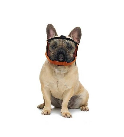 Chadog Diffusion Brachycephalic Muzzle for Dogs - ORANGE/32-44CM