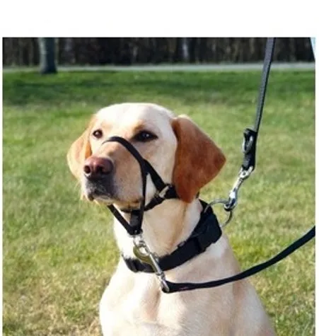 Trixie Top Trainer Black Headcollar for Dogs Large 31cm