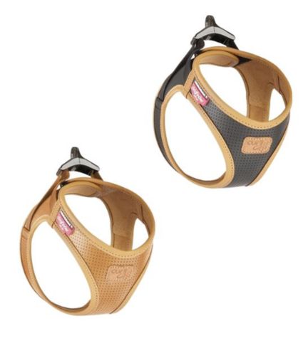 Curli Apple Leather Harness for Dogs - BLACK/XXXS