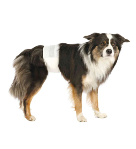 Trixie Diapers for Male Dogs 12pcs - S-M