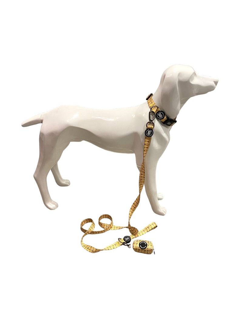 Bud & Billy Dunes Desert Leash 1.5cm