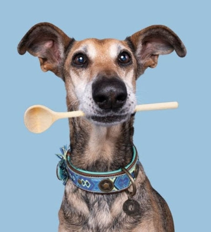 DWAM Boho Juan Leather Dog Collar - BLUE/XL(47-57X4CM)