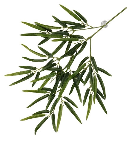 Terra D'Ella Hanging Plant Bamboo - GREEN/65X35X4CM