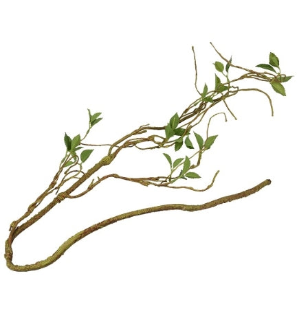 Terra D'Ella Plant Branch Thin - GREEN/130CM