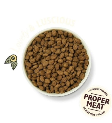 Lily's Kitchen Shepherd's Pie Lamb Grain Free Adult Dry Dog Food - 2.5KG