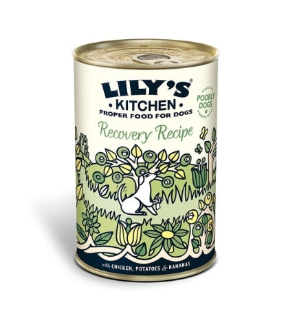 Lily's Kitchen Recovery Recipe Wet Dog Food - 400G