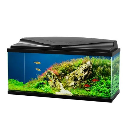 Ciano Aqua 80 Aquarium with LED Light 80x30x41.5cm