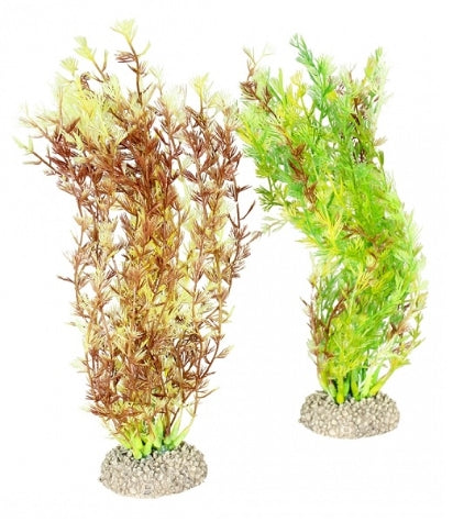 Aqua D'Ella Plant Egeria Densa for Aquariums - GREEN/25CM