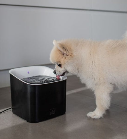 ebi Manoa Drinking Fountain for Dogs - WHITE/20X20X18CM