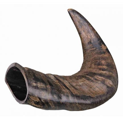 Trixie Natural Buffalo Chewing Horn Dental Dog Treats - MEDIUM