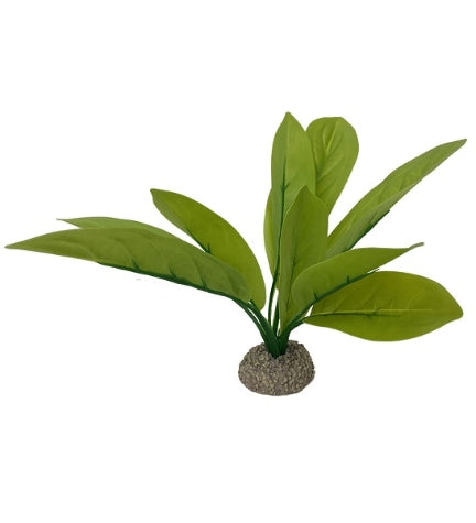 Aqua D'Ella Echinodorus 3 - GREEN/24CM