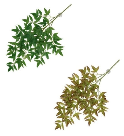 Terra D'Ella Hanging Plant Nandina - GREEN/65X35X1.5CM