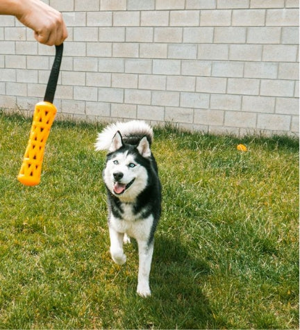 ebi Bite Me 'Crack Me Up' Stick Sensory Dog Toy - ORANGE/36X4X4CM