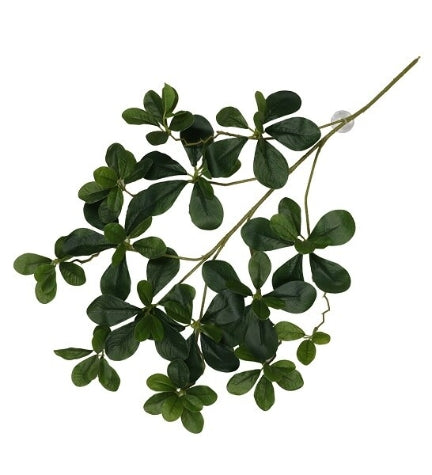 Terra D'Ella Hanging Plant Aralia - GREEN/60X30X6CM