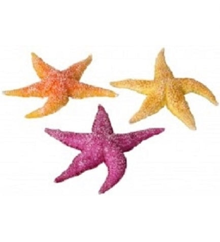 Aqua D'Ella Real Sea Star for Aquariums ORANGE 17X15X2.3CM