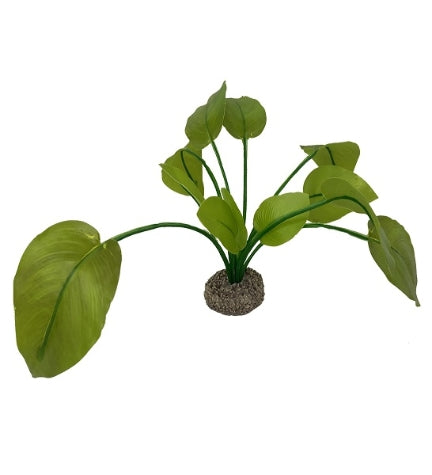 Aqua D'Ella Anubias 2 - GREEN/17CM