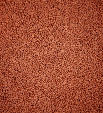 NT Labs Pro-f Cichlid Red 48 Fish Food - 95G