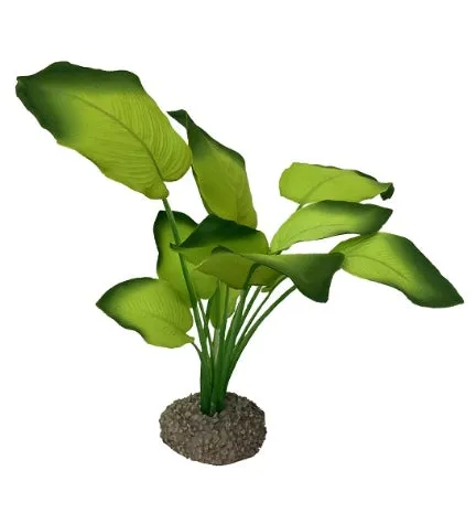 Aqua D'Ella Anubias 3 - GREEN/20CM