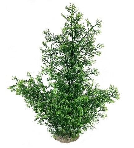 Aqua D'Ella Phoenix - GREEN/56CM