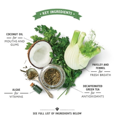 Lily's Kitchen Woofbrush Dental Dog Chews Bulk Pack - MEDIUM