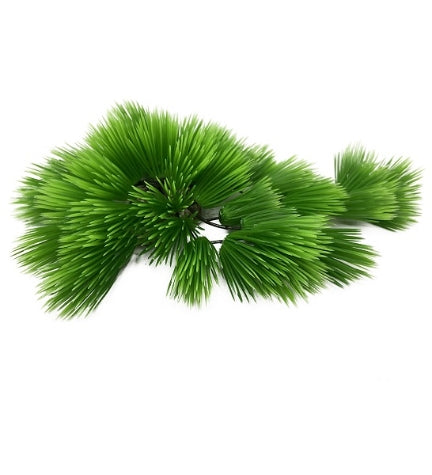 Aqua D'Ella Eleocharis - GREEN/22CM