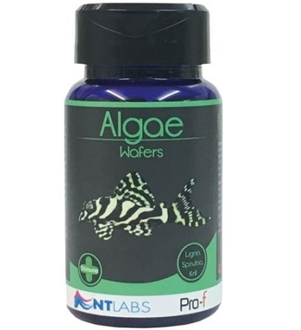 NT Labs Algae Wafers Fish Food - 110G