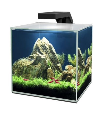 Ciano Cube 10 LED Aquarium 22x22x26cm 