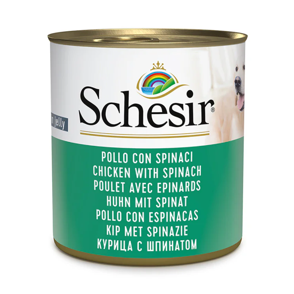 Schesir Dog Wet Food in Jelly Can-Chicken With Spinach 285g 