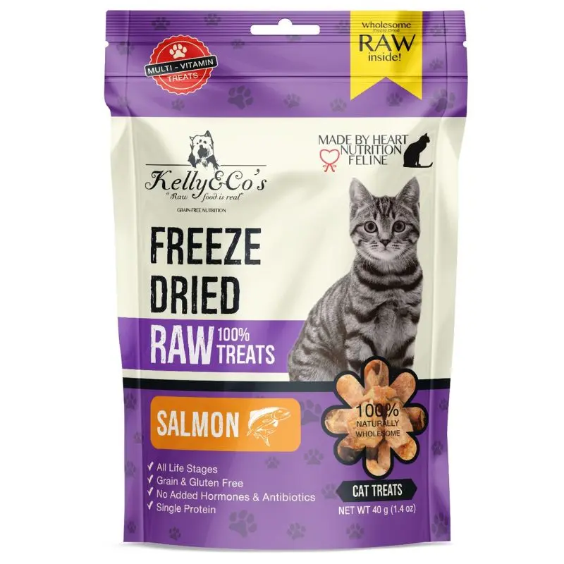 KELLY & CO'S Single Ingredient Freeze-dried Salmon Cat 40g 