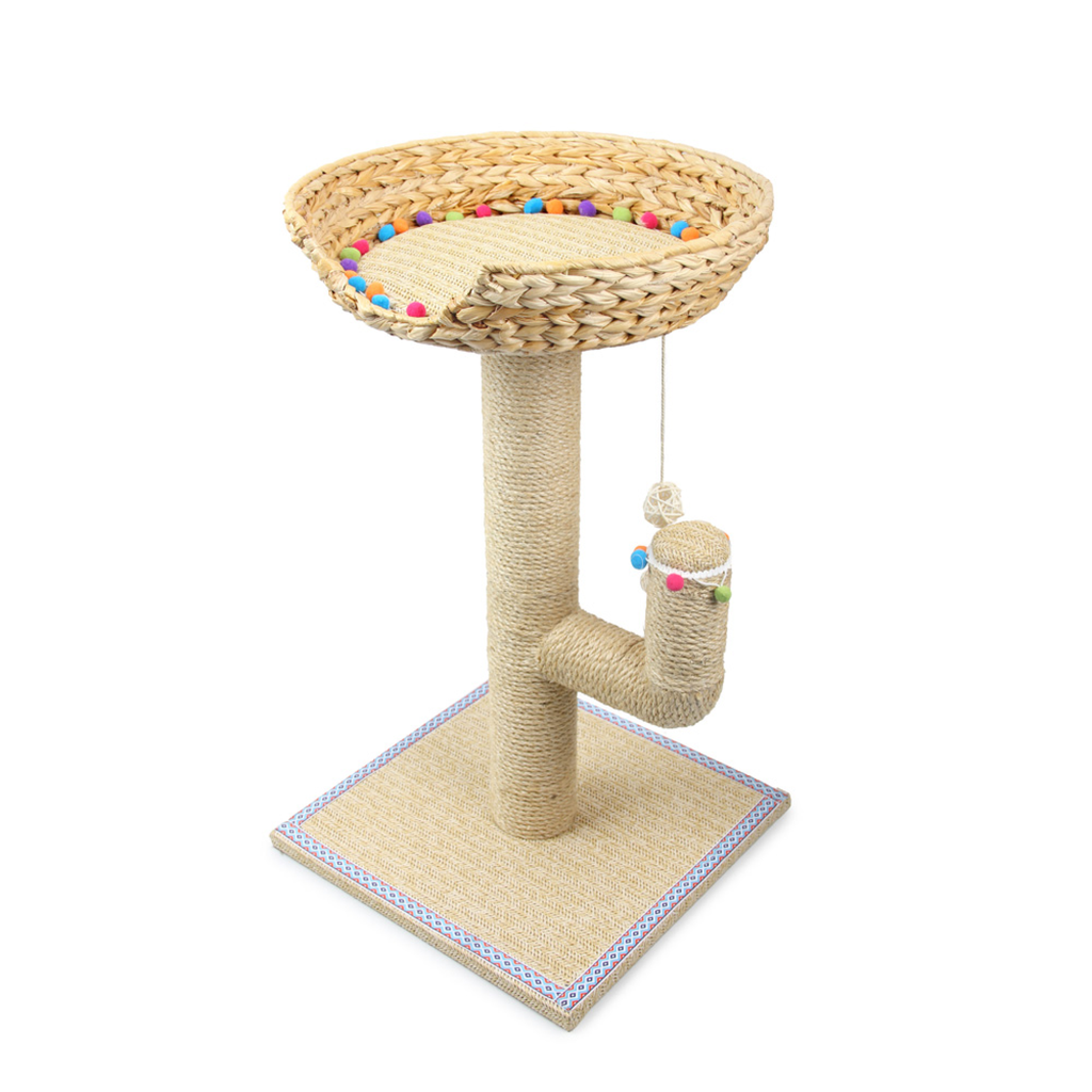ALL FOR PAWS Whisker Fiesta Cactus Cat Tree