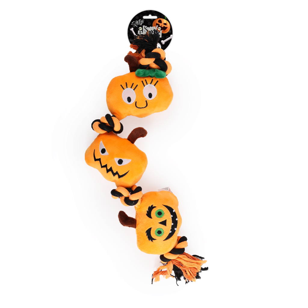 ALL FOR PAWS Naughty or Trick Pumpkin