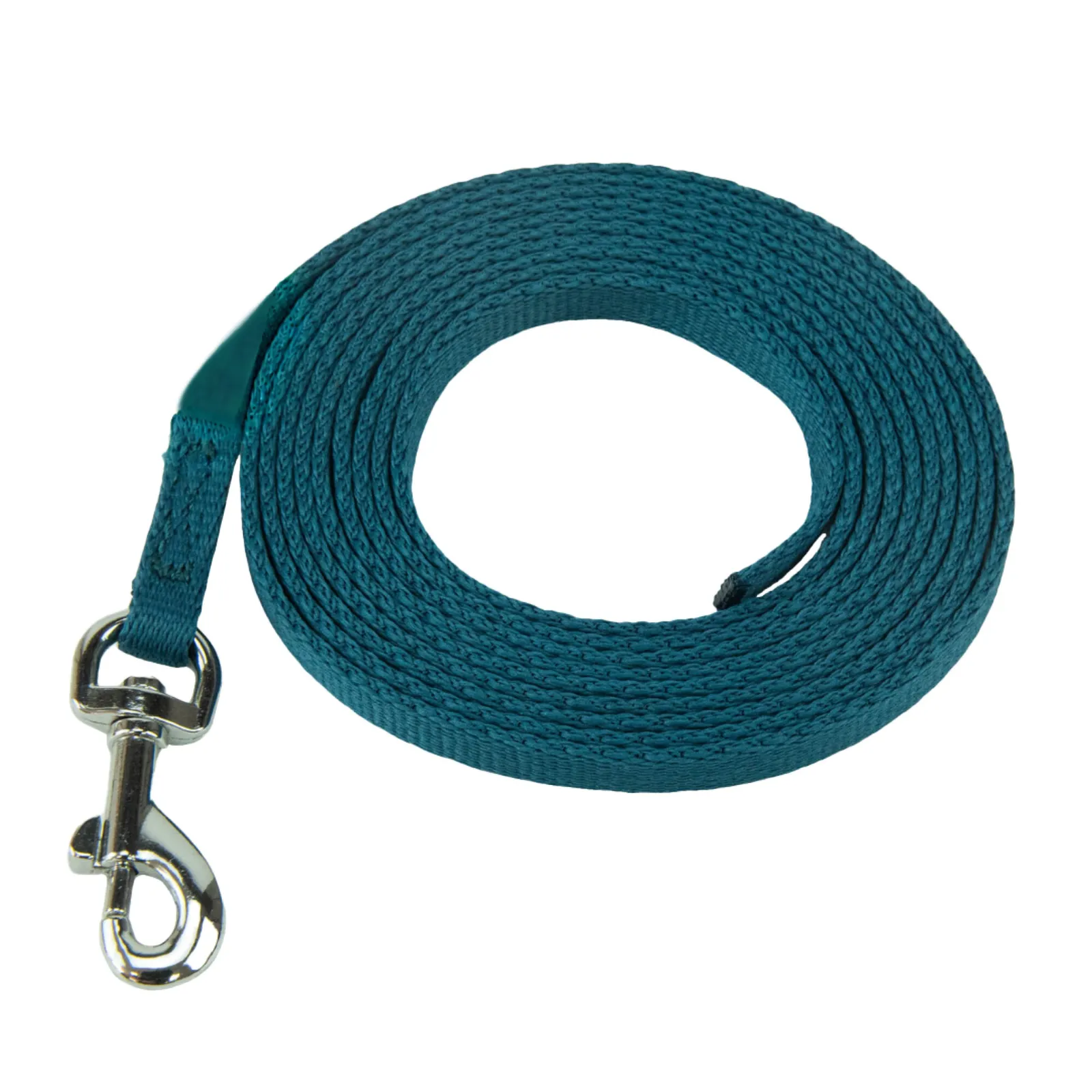 Coachi Puppy & Mini Coachi Puppy & Mini Training Line Teal