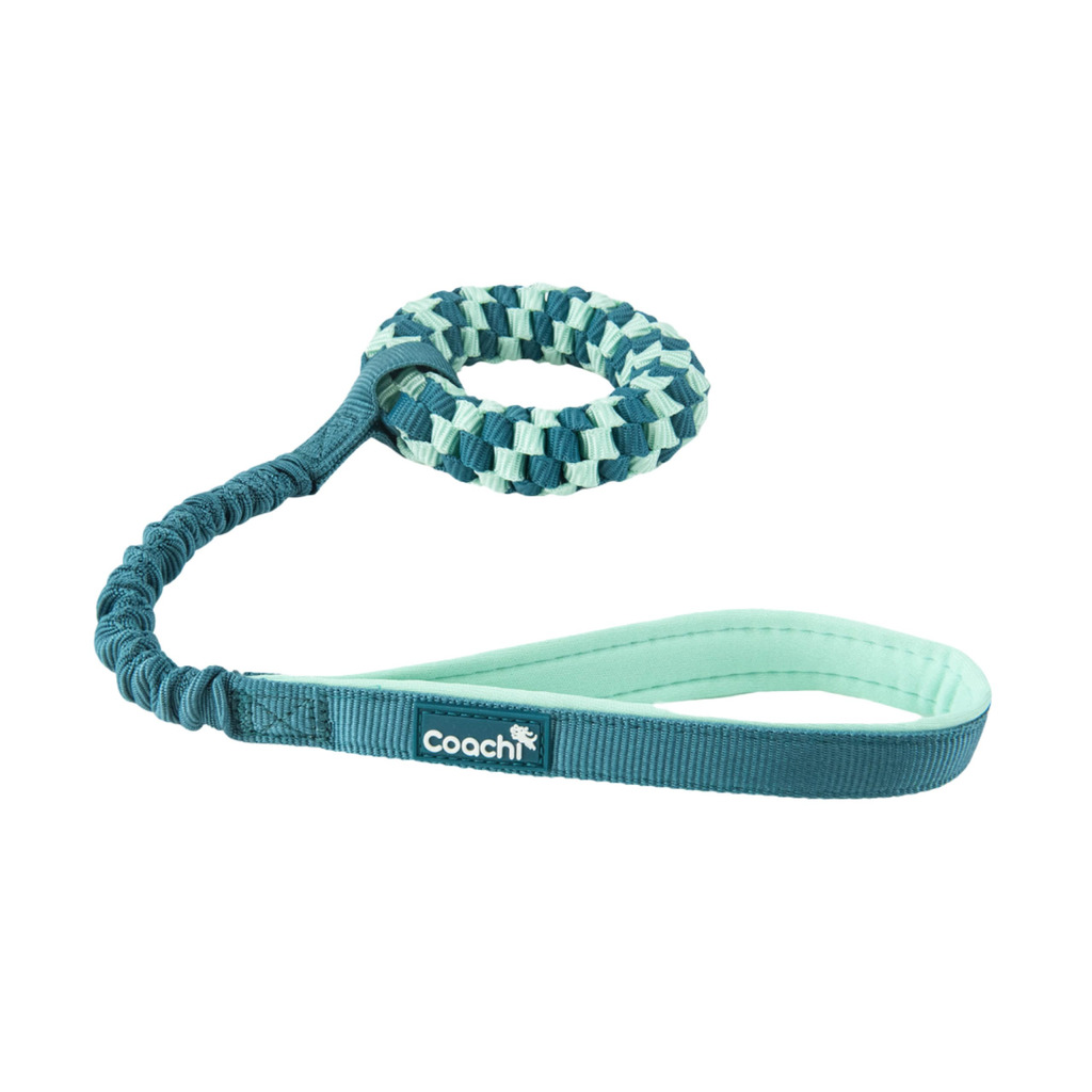 Coachi Puppy & Mini Coachi Puppy & Mini Tuggi Helix Teal & Mint