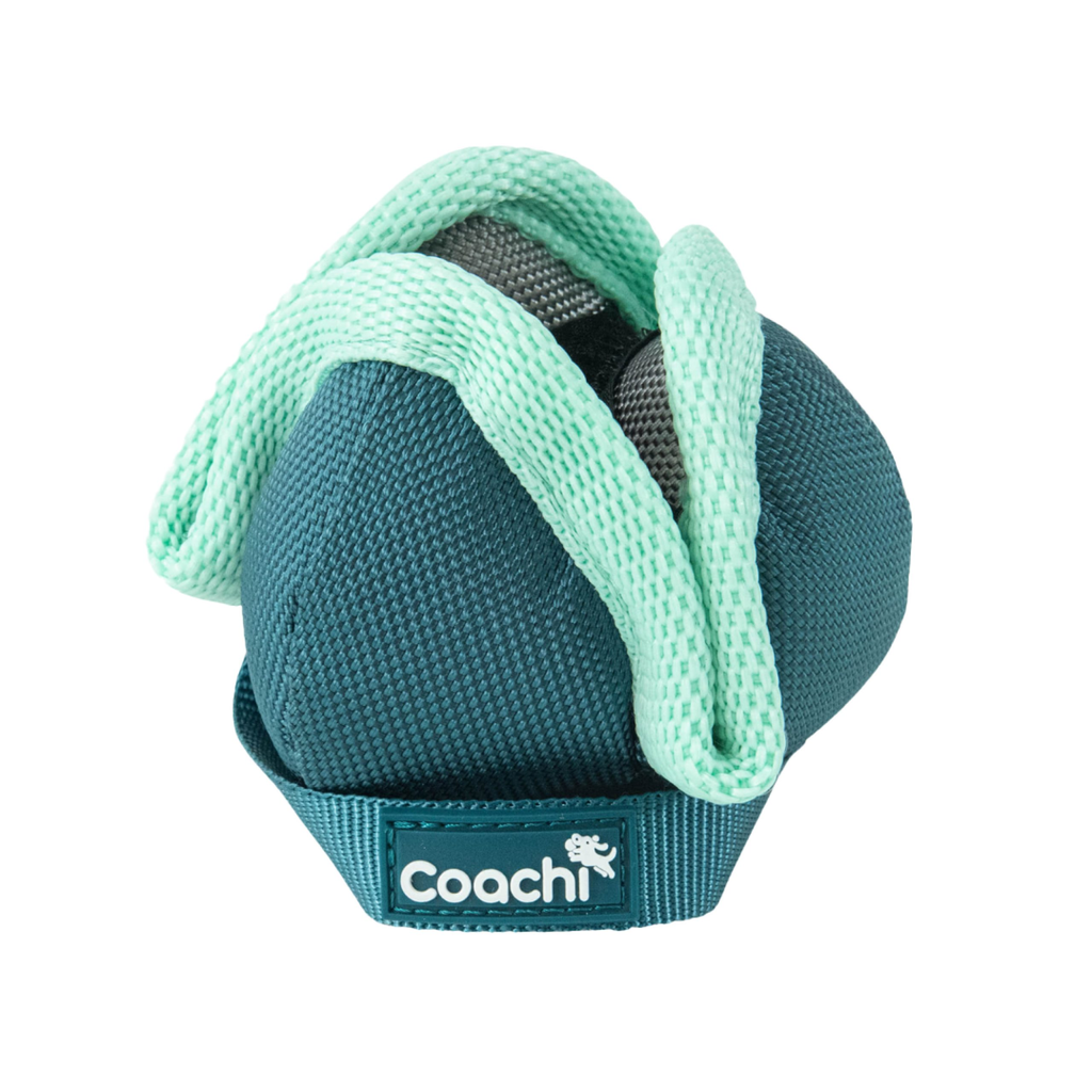 Coachi Puppy & Mini Coachi Puppy & Mini Chase & Treat Teal & Mint